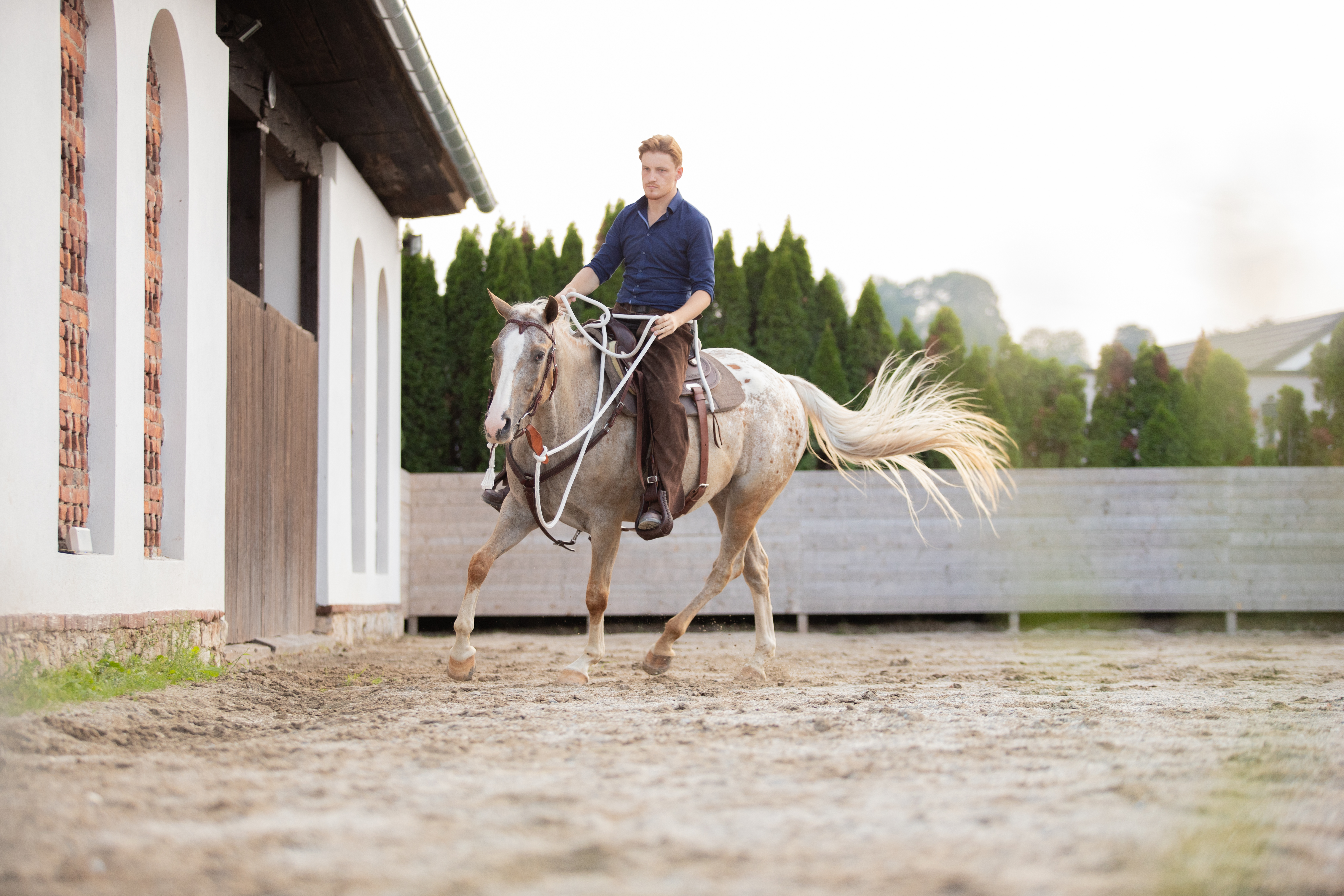 Mann mit blauem Hemd reitet ein Pferd.