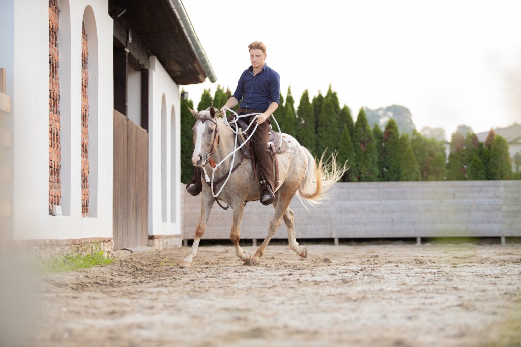 Mann reitet auf einem Pferd auf dem Reitplatz.